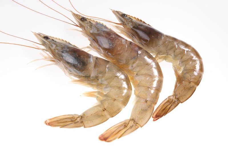 烹煮蝦料理時，經常會發現蝦頭處發黑的情況。 示意圖／ingimage