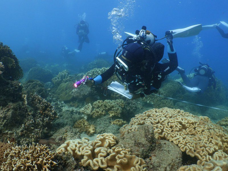 台灣環境資訊協會發表珊瑚礁體檢12年成果報告。圖／台灣環境資訊協會提供