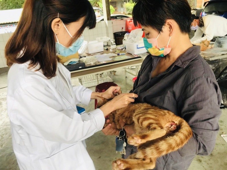 防範狂犬病，家畜所與嘉大合作，在阿里山區完成10場次犬貓狂犬病預防注射活動，共注射577隻犬貓。圖／嘉縣府提供