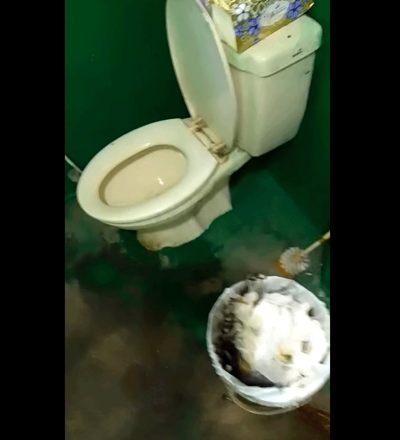 驚見客戶家廁所的垃圾桶長出香菇，覺得太恐怖了！ 圖／翻攝自爆料公社二社