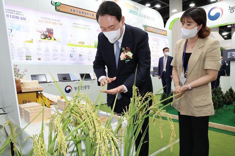 南韩总统尹钖月上月出席农业博览会时，听取农村振兴厅官员介绍用来制粉的水稻品种「Baromi 2」。欧新社(photo:UDN)