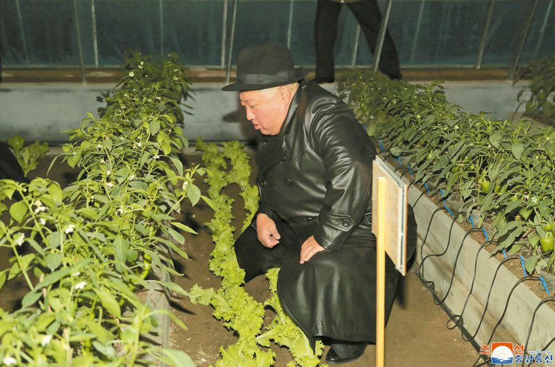 金正恩十日出席连浦温室农场启用仪式并仔细视察。（路透）(photo:UDN)
