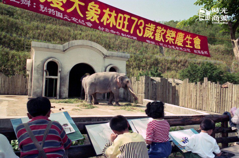 圖
台北市立動物園與動物園之友協會主辦之「我愛大象林旺73歲歡樂慶生會」活動，小朋友在旁畫大象。圖＼聯合報系資料照（1990/10/28 林興徽 攝影）
