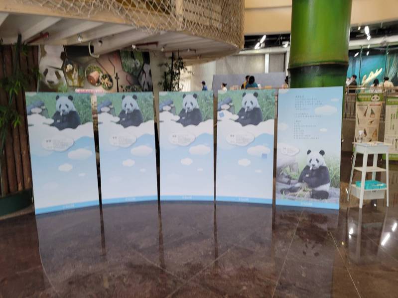 台北市立動物園大貓熊團團19日離世，各界不捨，園方今起設置「團團」的追思看板陳列在大貓熊館內。圖／北市動物園提供