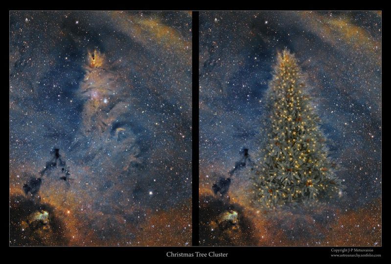 宇宙最大聖誕樹.NGC2264。圖／台北市立天文館提供
