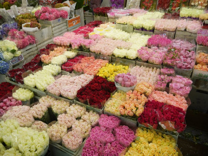 214西洋情人節，象徵愛情的玫瑰花最受情人喜愛。圖／台北花市提供