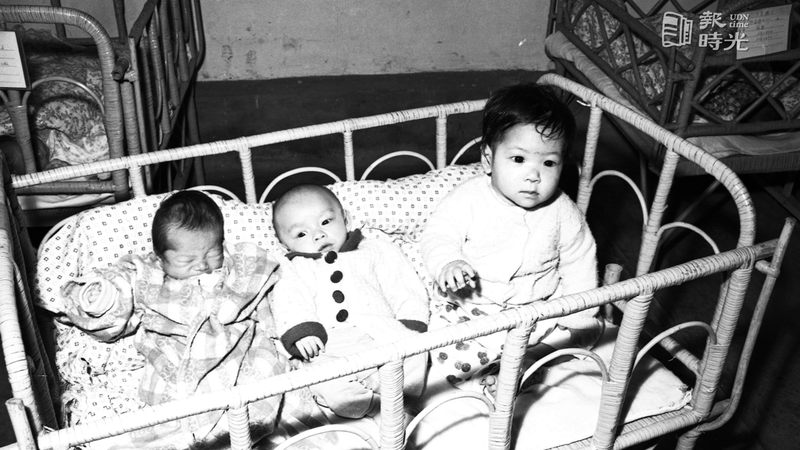 三個由家庭計劃協會收養的嬰兒。圖／聯合報系資料照（1963/03/21　陳明輝攝影） 