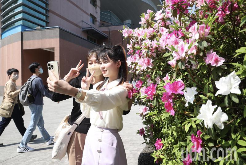 時隔三年，今年2023年「台灣大學杜鵑花節暨學系社團博覽會」再度回歸實體活動。記者林俊良／攝影