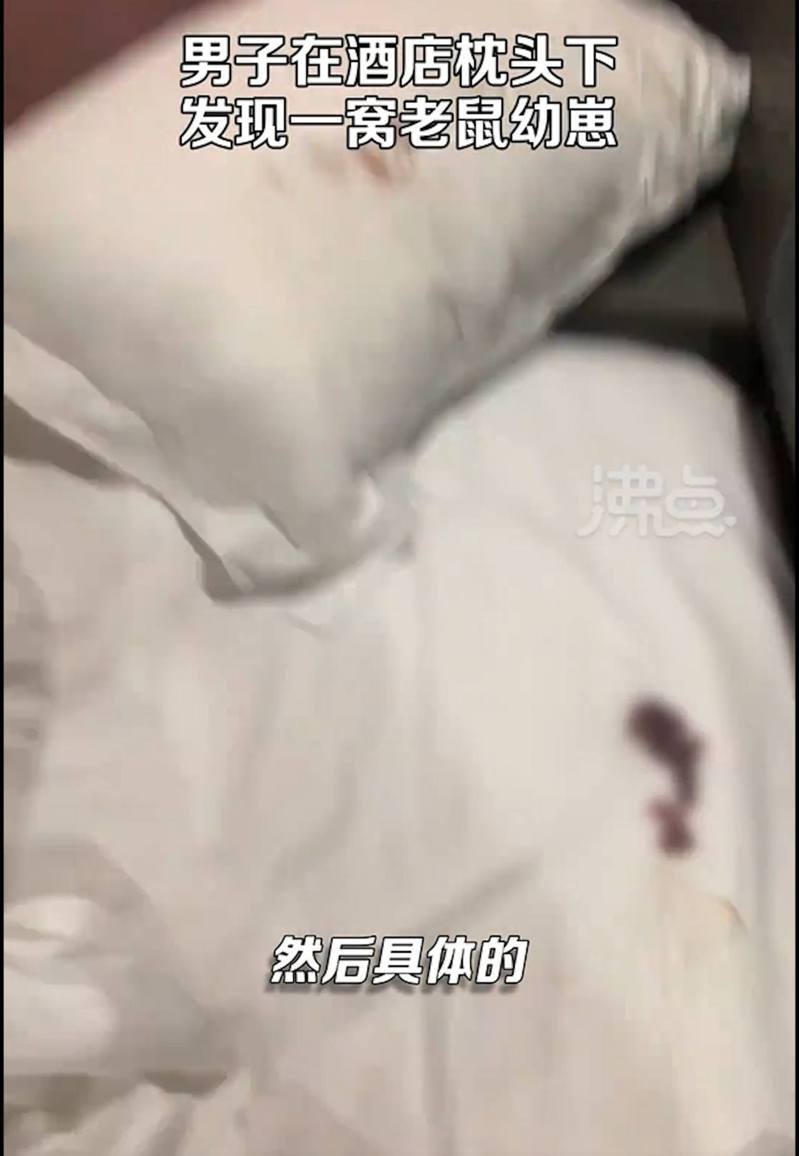 旅客入住南昌一間酒店躺下來睡覺之際，聽到枕頭底下傳來老鼠的叫聲，掀開枕頭查看，看到有一窩剛出生的老鼠，但已被壓死。影片截圖