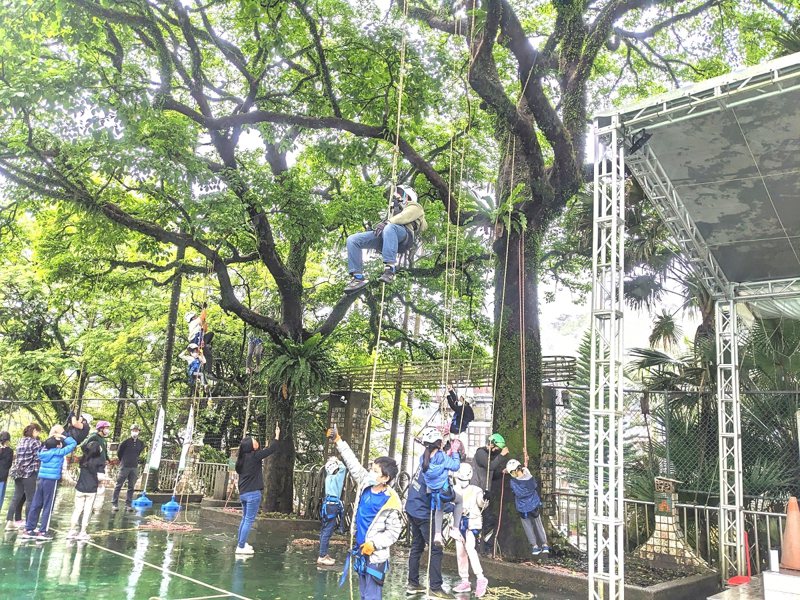 汐止東山國小邀請專業教練，讓全校小朋友都體驗拉繩索攀樹，過一個有趣豐富的兒童節。 圖／觀天下有線電視提供