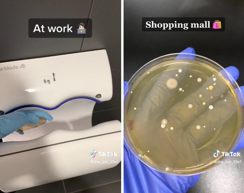 用烘手机烘干的培养皿上出现了很多细菌。图撷自(photo:UDN)