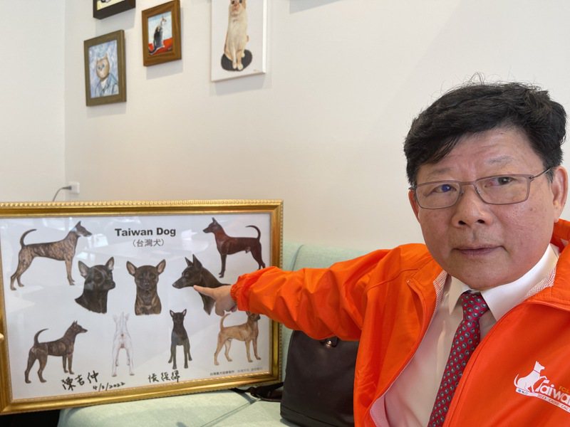 台灣畜犬協會理事長薛瑞銘說，國內有隻黑犬在歐洲競賽成績優異，這次亞洲盃全犬種冠軍犬大賽可望把冠軍留在台灣。記者王昭月／攝影