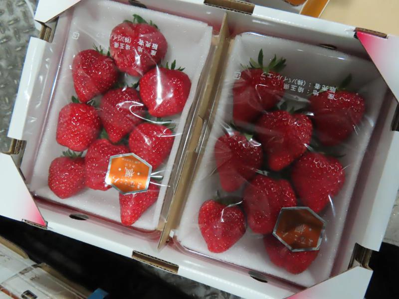 日本埼玉進口的草莓180公斤，全數遭退運、銷毀。圖／食藥署提供