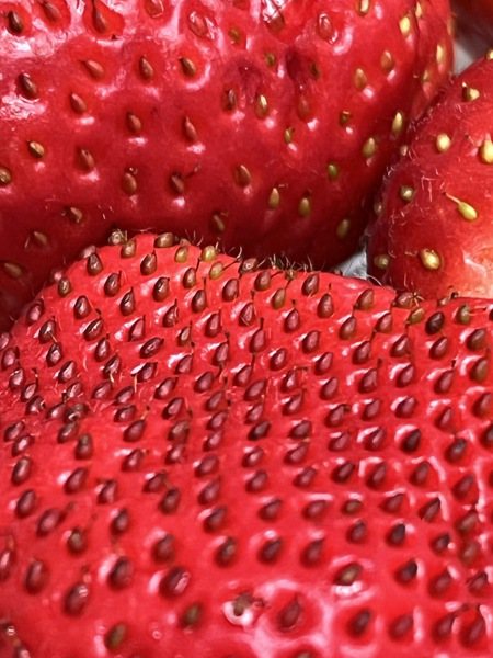 你知道草莓表面如同「小芝麻」的顆粒為何種構造嗎？正解竟讓人驚呆。圖／讀者提供