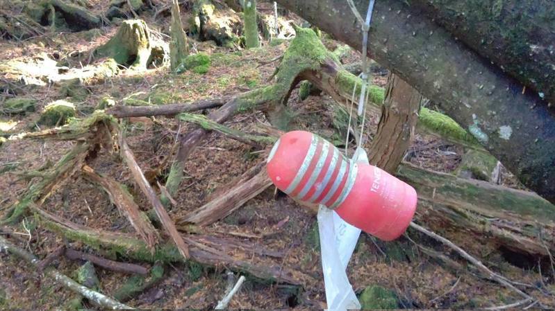 被称为「自杀森林」的日本青木原树海，有经常到「自杀森林」探索的网友最近就分享一个现象，指有很多树上竟然被挂上TENGA飞机杯。（图自Twitter）(photo:UDN)
