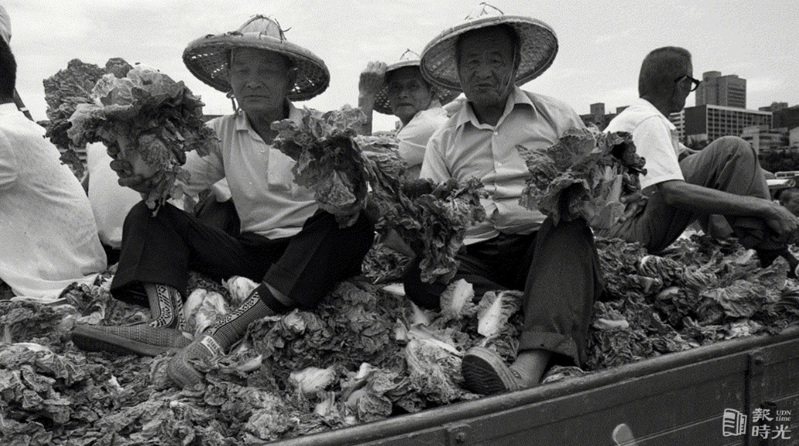 年老的農民坐在滿載大卡車白菜，在國父紀念館廣場前聚集後，開始在台北市區進行遊行抗議。圖／聯合報系資料照（1988/05/20　許振輝攝影）