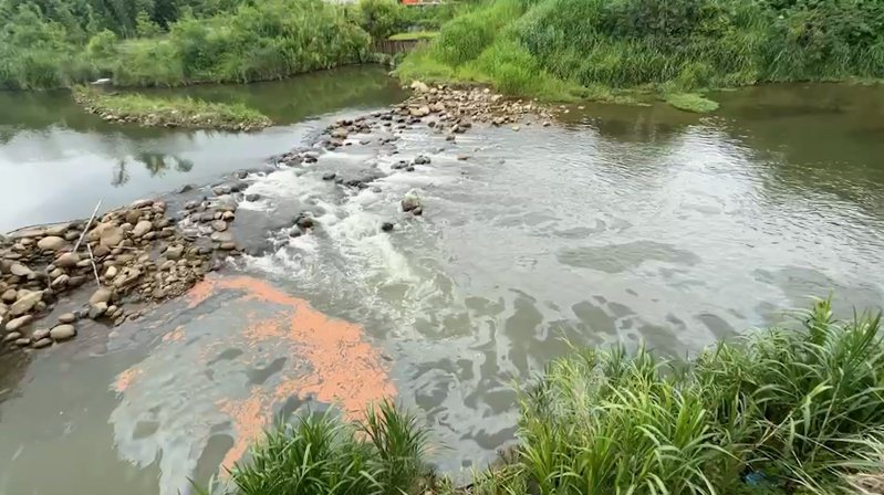 關西鎮鳳山溪上游被民眾發現有大片油漬。圖／讀者提供