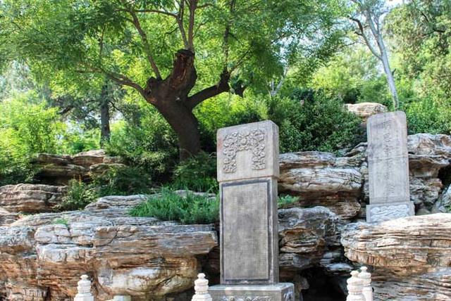 北京景山公園內，相傳有棵崇禎皇帝自縊的槐樹。（圖／取自網路）