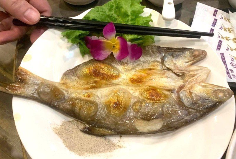 台灣四周環海，魚肉應是民眾桌上佳餚之一。圖／民眾提供