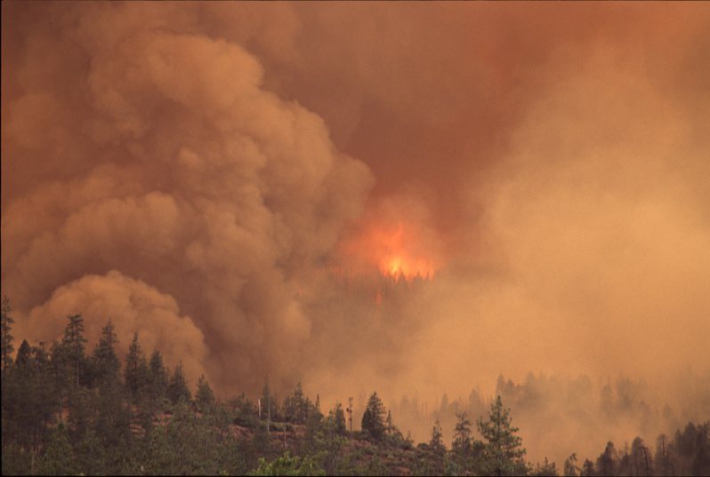加拿大2023年的野火異常旺盛，讓碳排量與空氣污染面積都達到前所未見的規模。(photo by Bureau of Land Management Oregon and Washington via flickr, used under CC License)