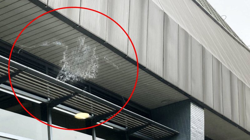 建築物玻璃帷幕常造成鳥類窗殺意外，台南市議員穎艾達利提案建請市府推動友善生命建築設計。圖／翻攝臉書社團野鳥撞玻璃回報