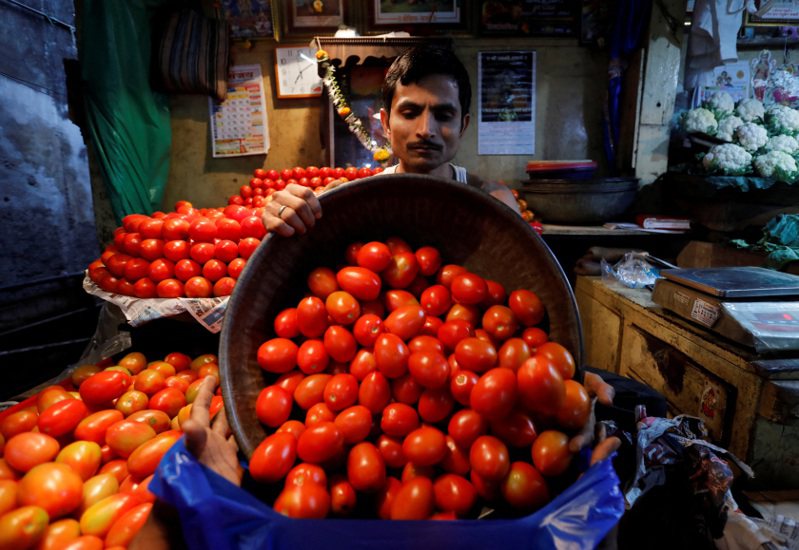 印度番茄價格今年來漲了五倍，當地部分麥當勞以品質問題為由停止供應。路透