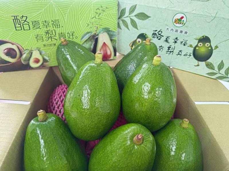 台南市大內區盛產的酪梨進入產期，酪梨產業文化活動本月將登場。圖 ／台南市政府提供