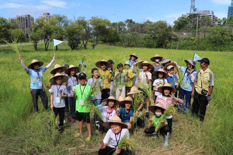 孩童分享，象最深刻的是一日農夫的割稻體驗，戴起斗笠、走進水稻田裡，體會到農耕的辛苦。圖／新北高灘處提供