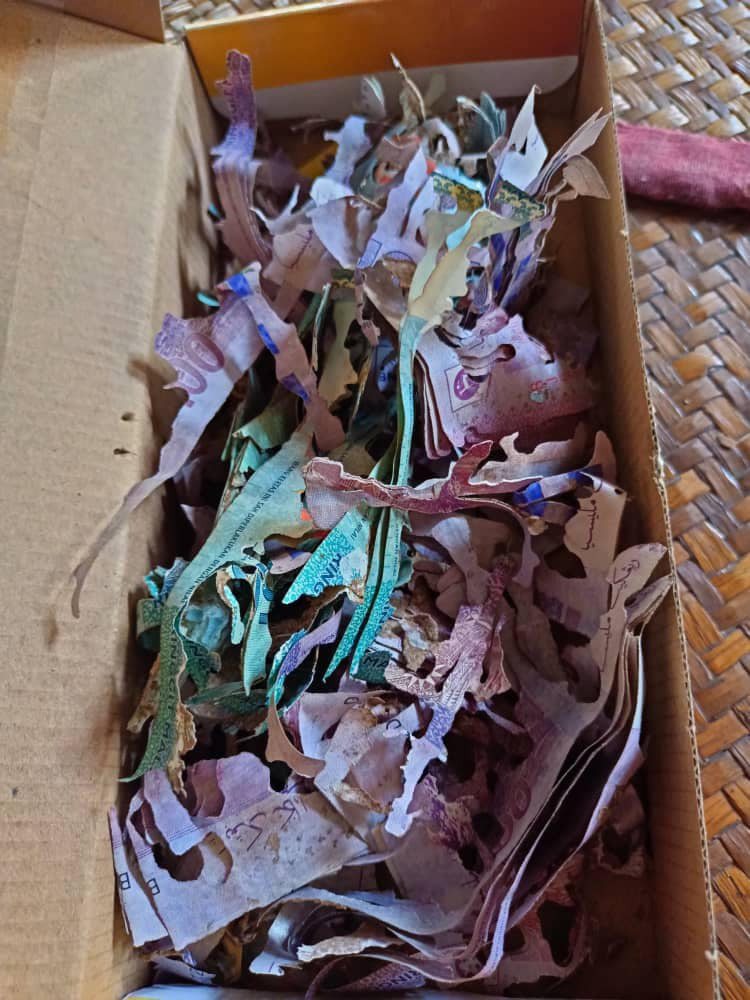 馬來西亞一名老奶奶將3萬馬幣（約新台幣20萬元）鈔票存放在紙盒內被白蟻啃食成廢紙。圖／取自臉書