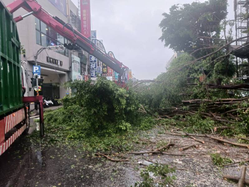 杜蘇芮颱風強風襲擊，台南市行道樹被吹倒伏嚴重。圖／台南市府提供