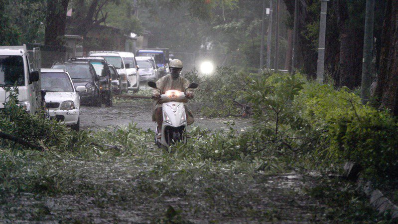 杜蘇芮颱風昨在高雄颳起十二級陣風，路樹倒塌、屋頂吹落、停電等災情頻傳，工程人員緊急搶修。記者劉學聖／攝影