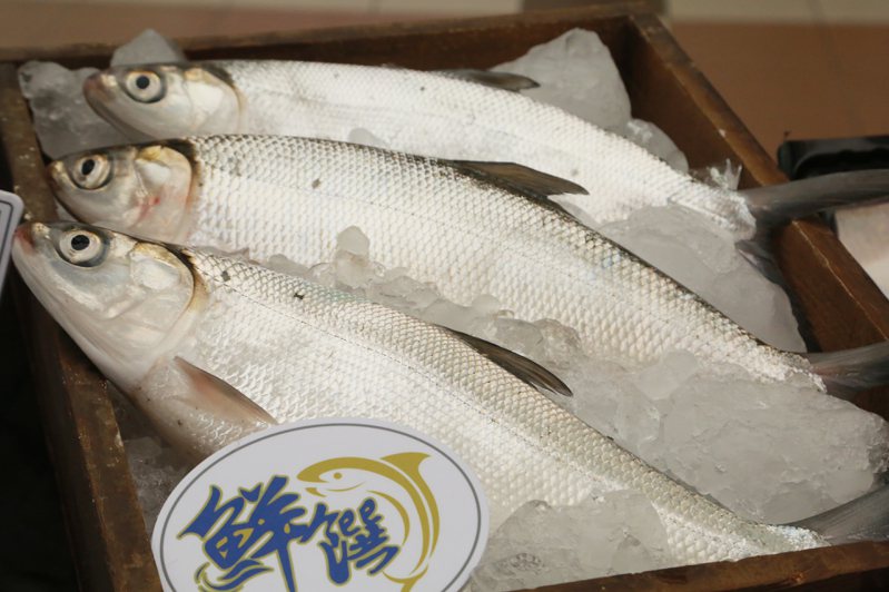 攜手兩大通路賣虱目魚，台南市長黃偉哲表示，要讓台南虱目魚熱銷全國。圖／台南市政府提供