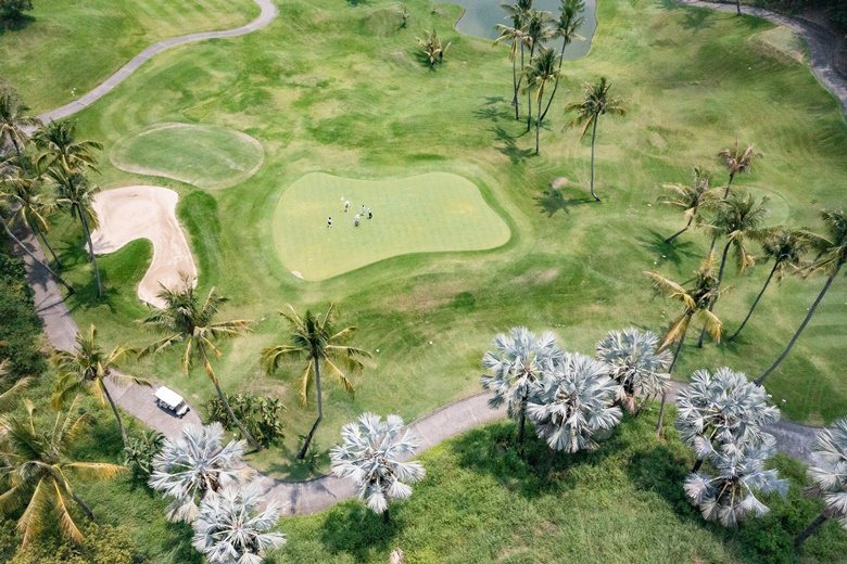 廣植夏威夷銀葉棕櫚樹，為棕梠湖渡假村球場一大特色。 攝影/相 王基守