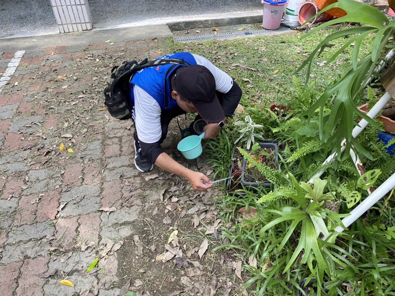 雲林縣環保局稽查人員在校園發現有孑孓的積水容器。記者陳雅玲／翻攝