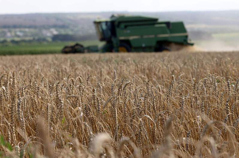 俄羅斯於7月宣布退出黑海穀物協議，切斷烏克蘭穀物出口，並攻擊穀物儲存設施，導致衝突升高。法新社