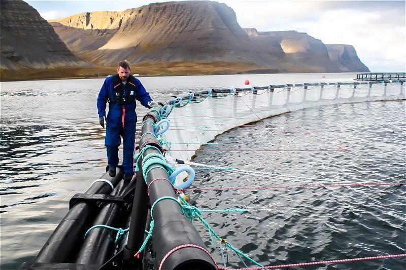旭東生產的海上箱網基座，最北的實績拓展到冰島。（旭東環保科技股份有限公司提供）