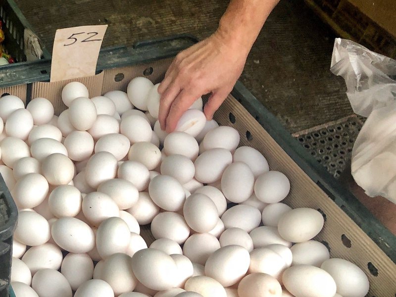 雞蛋供應吃緊，養雞團體與蛋商擬在26日晚間開會討論蛋價問題。聯合報系資料照