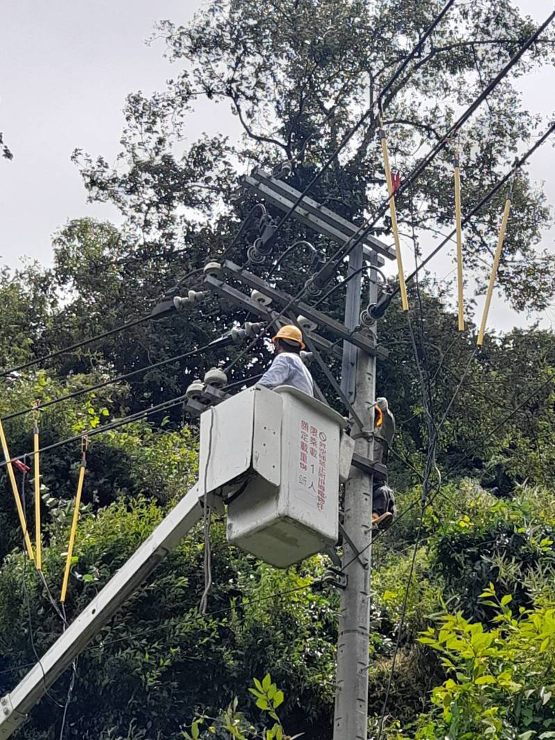 今天早上8點多，武陵農場與大梨山地區驚傳停電，經台電統計疑似猴子碰觸供電線路，造成電線斷線產生火花，一度造成1347戶停電。圖／台電提供