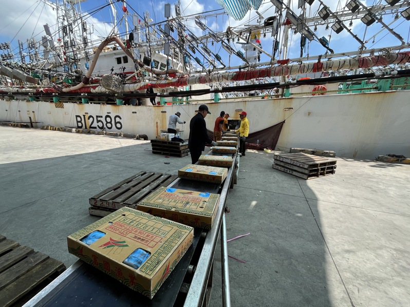 前鎮漁港魷秋刀漁船以自動輸送帶卸魚。圖／海洋局提供