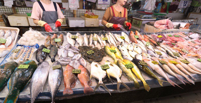 日本24日開始將核汙水排海，台灣漁民最擔心的是哪一天一條魚出狀況，不僅魚價崩盤，事關漁民生計問題，民眾更擔心吃進遭輻射汙染的海產。記者劉學聖／攝影