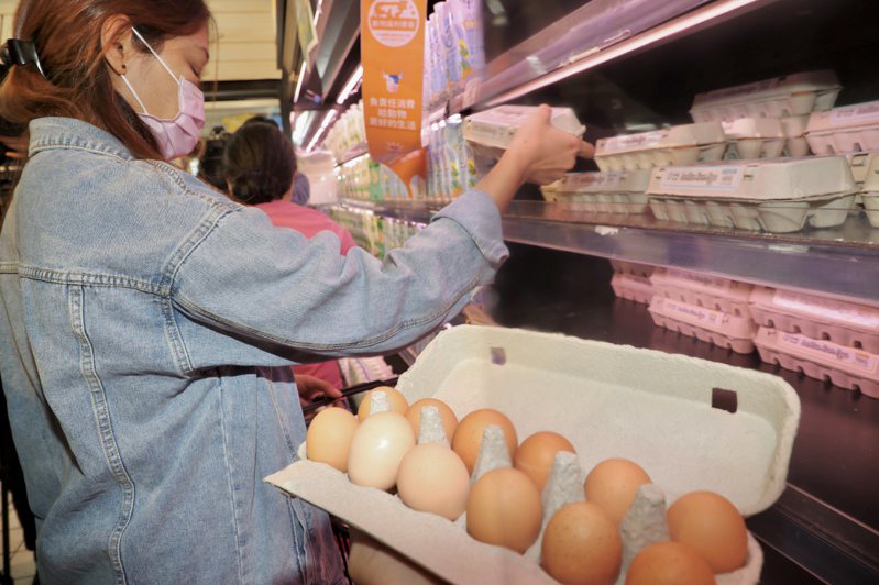 賣場今年3月29日陸續上架澳洲冷藏進口雞蛋，共2款規格，分別600g/12入售價79元，700g/12入售價89元。民眾開心買到比當時市價便宜的雞蛋，但實際上是政府補貼價差的結果。本報資料照片