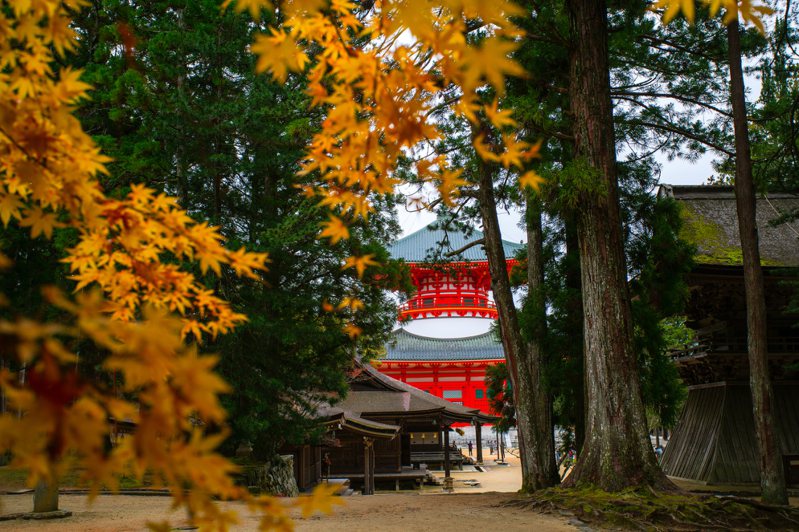 日本富士新聞網（FNN）報導，高野山有117座寺院群聚，位於當地的金剛峰寺是高野山真言宗的總本山，常有日本各地的信徒造訪。圖／Shutterstock