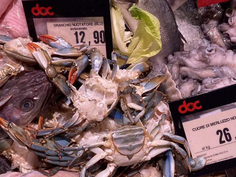 義大利沿岸近期出現「藍蟹大軍」，威脅當地貝類和鰻魚等水產，義大利政府除撥款應對藍蟹入侵外，也鼓勵民眾吃掉這些不速之客。圖為超市掀起販售藍蟹熱潮。中央社。