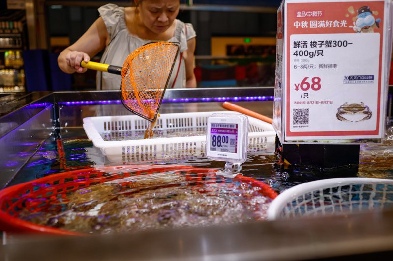 日本核處理水排海引起中國民眾關注，廣州一家醫院順勢開設了「核與輻射健康門診」。圖為一名婦女在中國北京一家超市查看待售的新鮮海鮮。歐新社