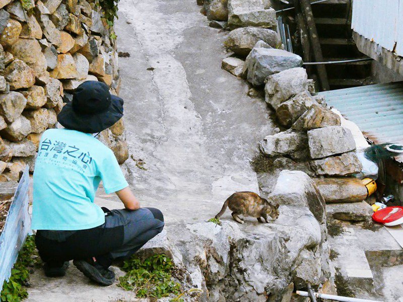 台灣之心工作人員前期，在浪貓出沒相關資訊的調查。圖／台灣之心愛護動物協會提供