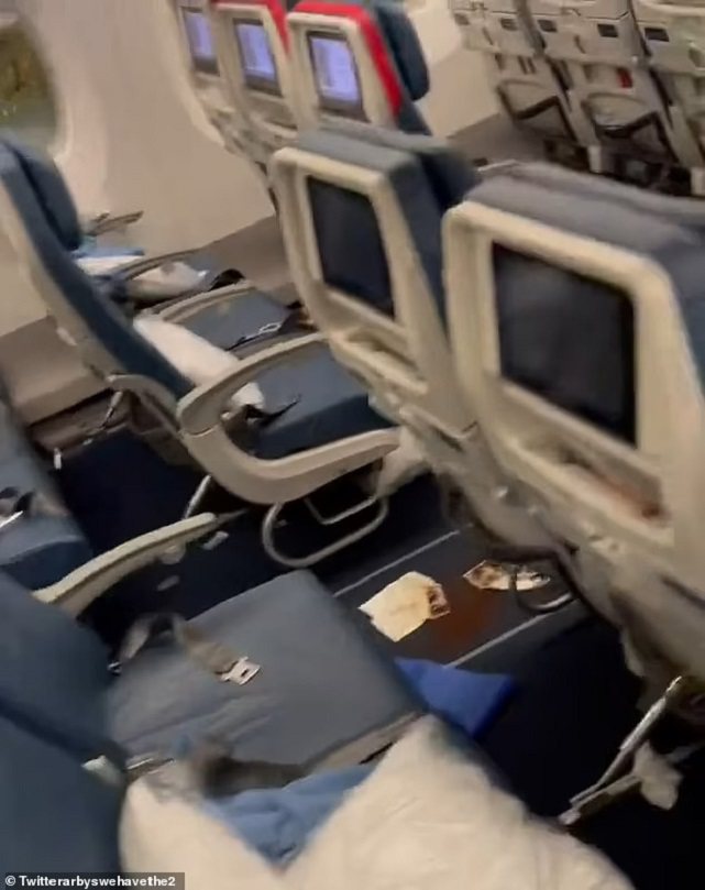 達美航空1日發生一架從美國亞特蘭大飛往西班牙巴塞隆納的航班因乘客「沿途腹瀉」而在起飛後不久被迫折返，經過機組人員善後的影片近日曝光。照片翻攝：X影片