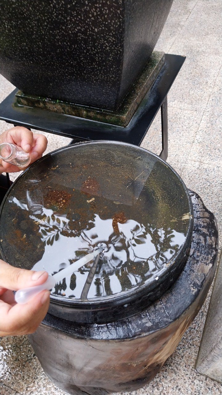 防疫團隊發現花盆的底盤積水孳生病媒蚊。圖／高市衛生局提供