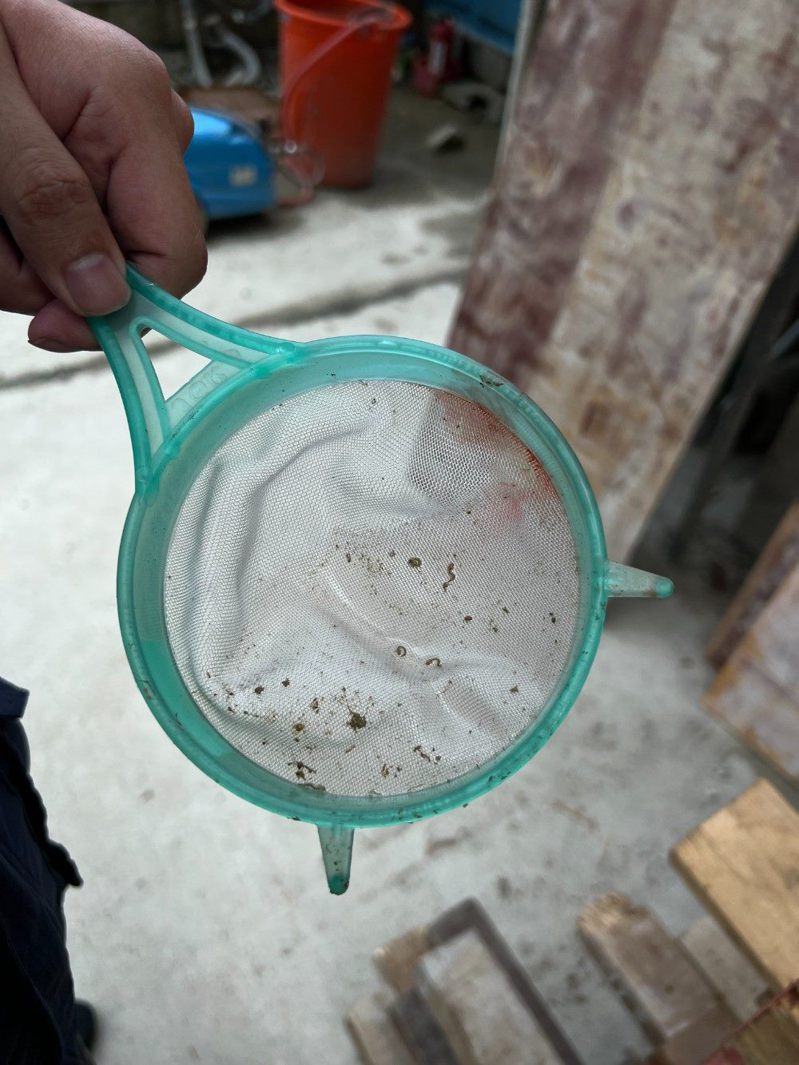 北市環保局人員查獲工地積水處有病媒蚊幼蟲。圖／北市環保局提供