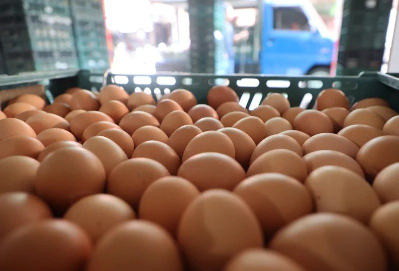 台北市蛋商業同業公會理事長林天來今天（9日）說，不缺蛋，沒有討論漲價條件，並呼籲各地學校午餐恢復用液蛋。雞蛋示意圖。聯合報系資料照／記者潘俊宏攝影