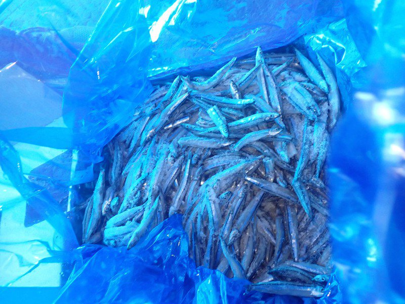 日本出口「冷凍丁香魚(FROZEN BANDED BLUE SPRAT(SPRATELLOIDES GRACILIS))」檢出重金屬含量不符規定。圖／食藥署提供